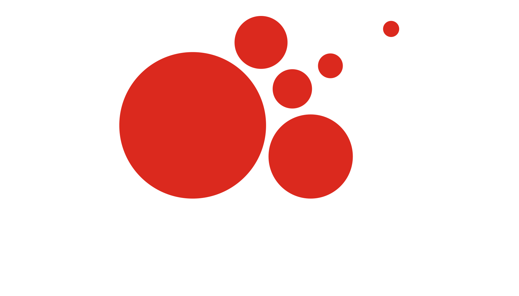 PM Fueguina